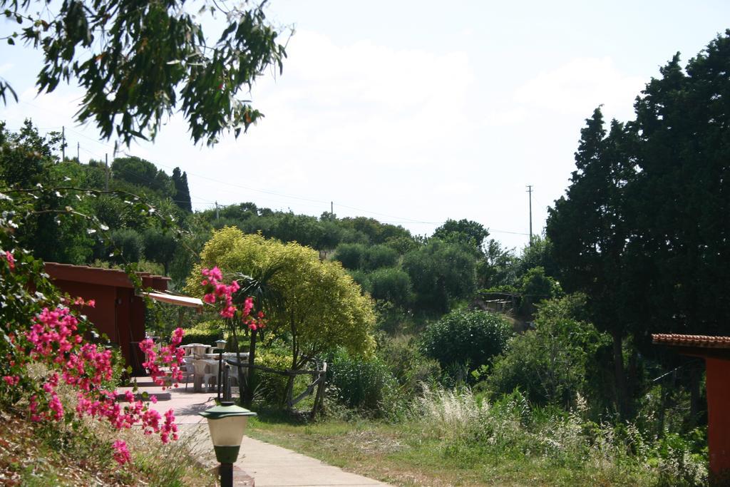 Agriturismo Ruralia Santa Domenica  Exterior foto